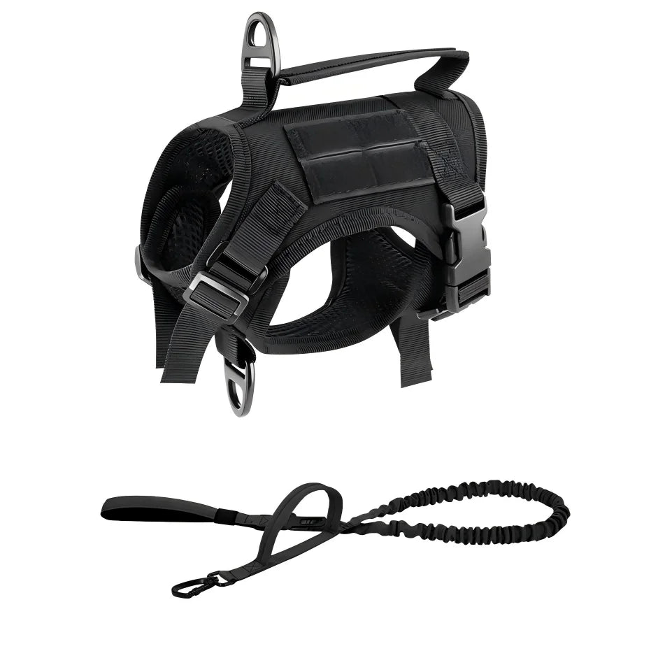 Tactical Cat Harness and Leash Set