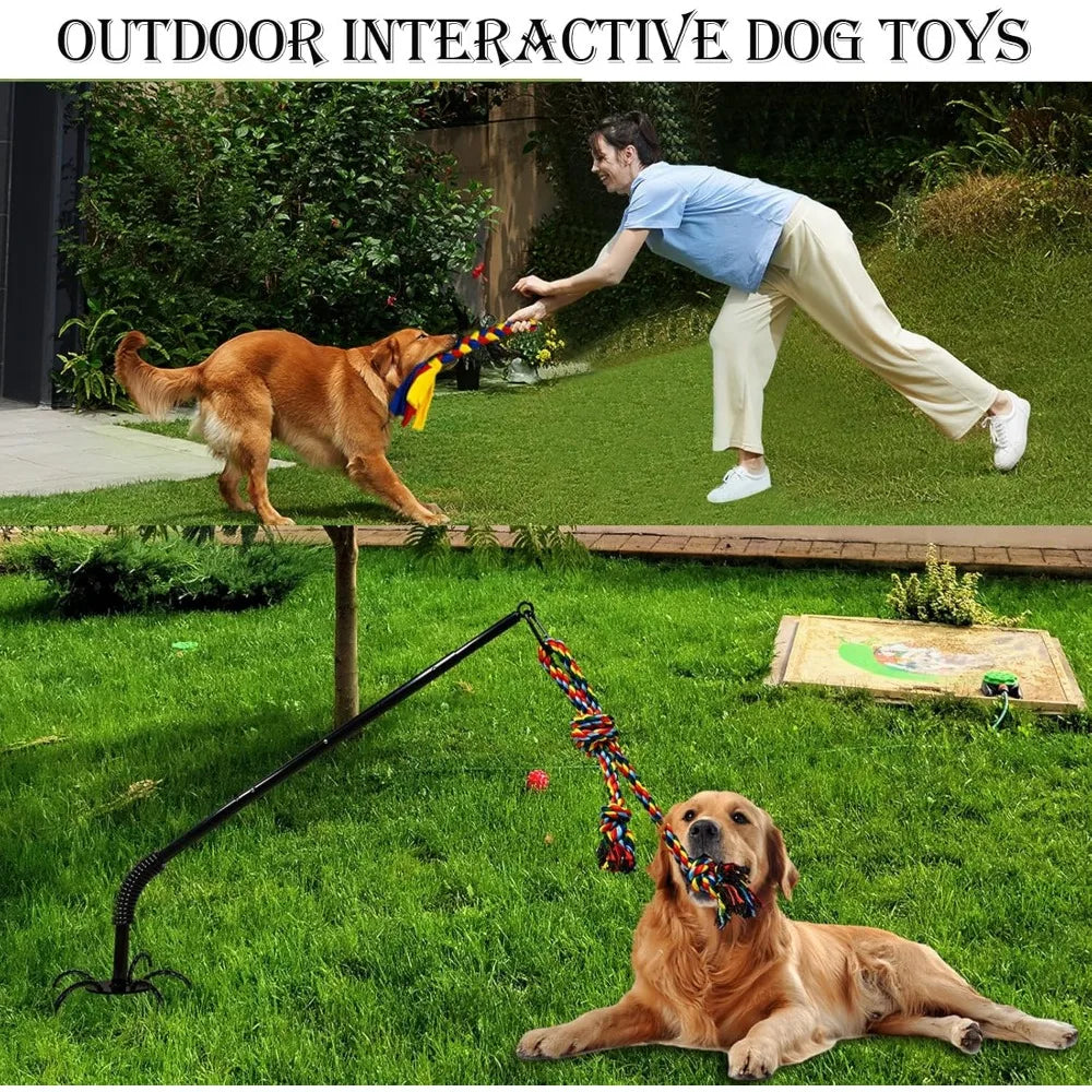 Hign-Concerned Tether Tug Outdoor Dog Toy For Active Play