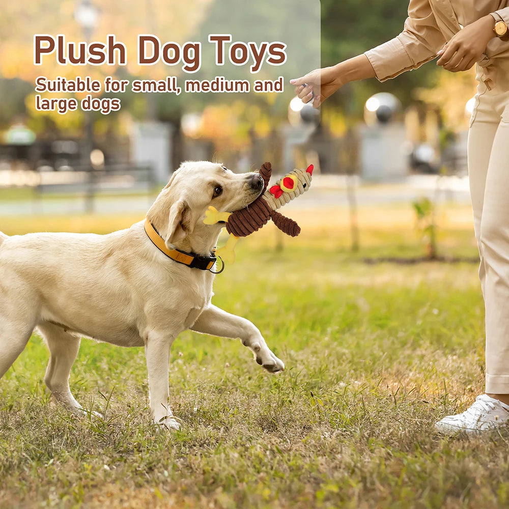 Assorted Plush Squeaky Dog Toys