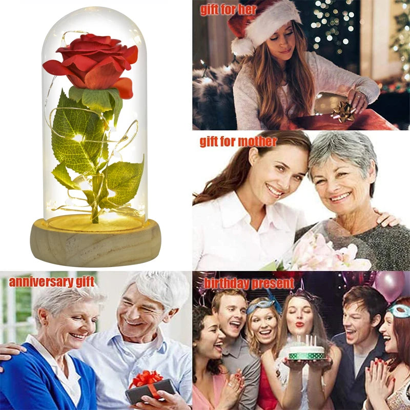 Ainyrose Beauty And The Beast Eternal Rose Glass Dome Decor