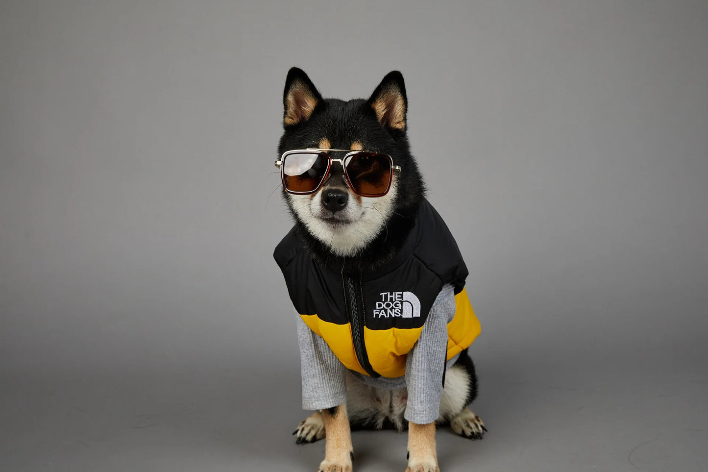 Zhejiang Dog Face Toys And Accessories Trendy Pet Gifts