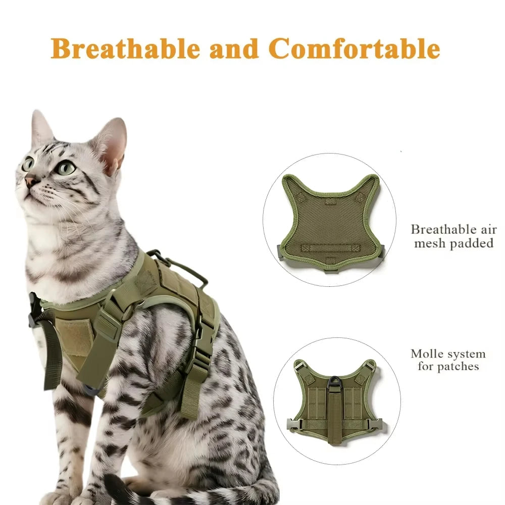 Tactical Cat Harness and Leash Set