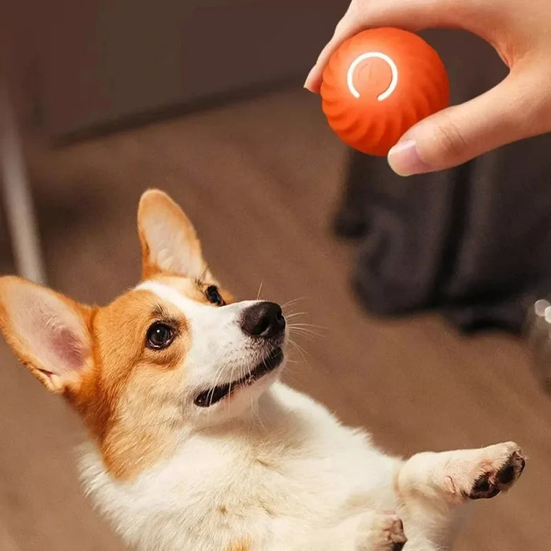 Automatic Bouncing Rolling Ball Dog Toy USB Interactive Puppy Toy