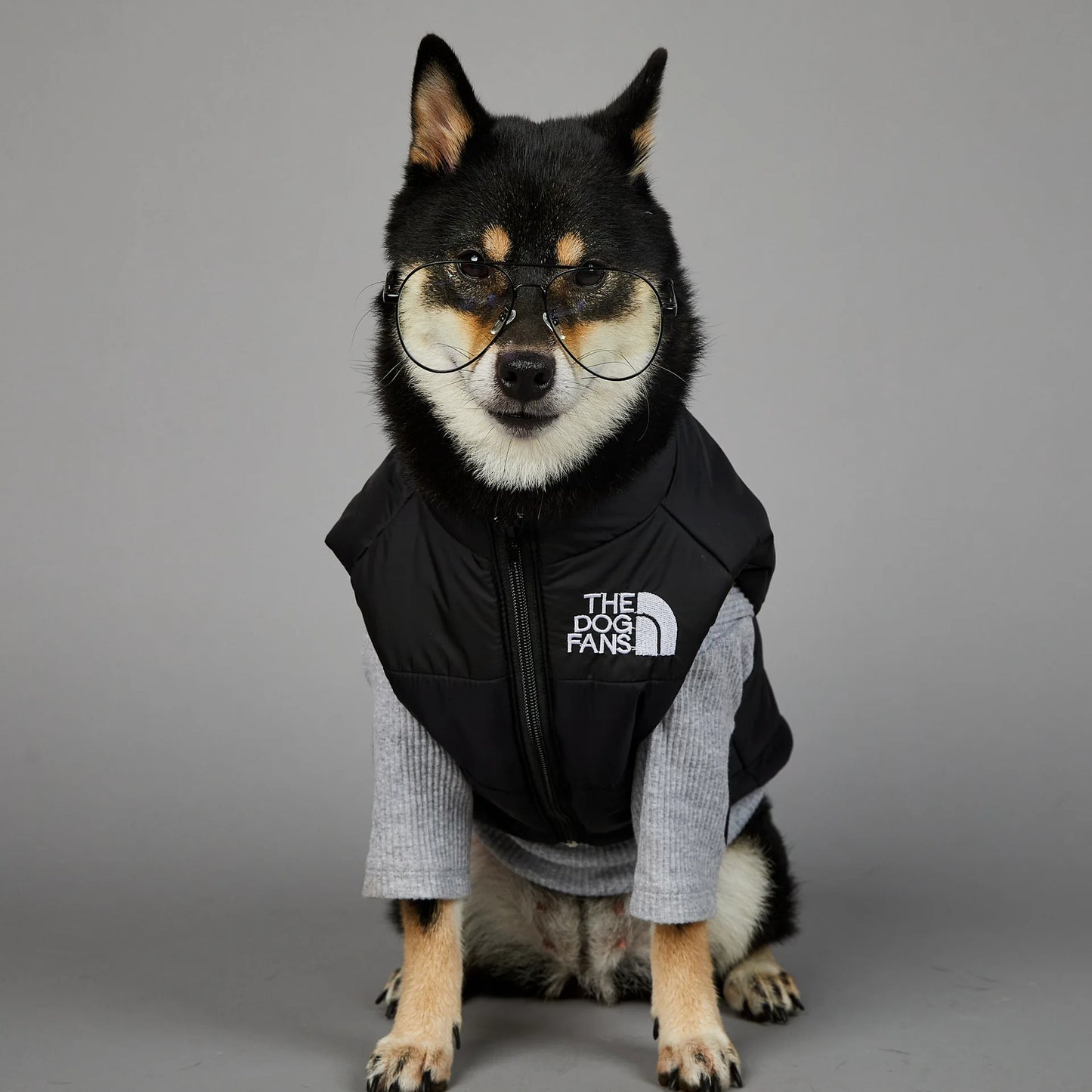 Zhejiang Dog Face Toys And Accessories Trendy Pet Gifts