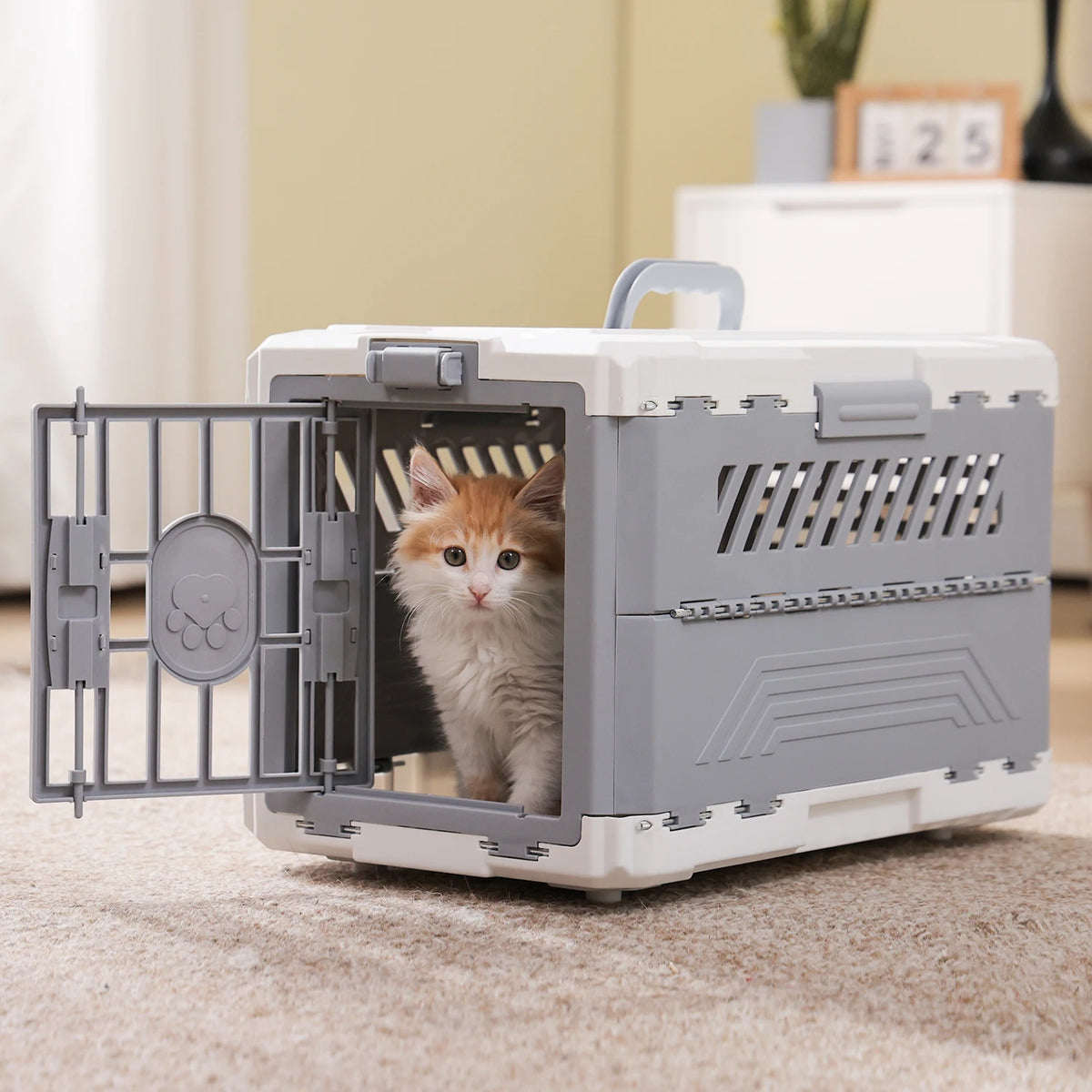 Road Foldable Pet Carrier with Secure Lock Door