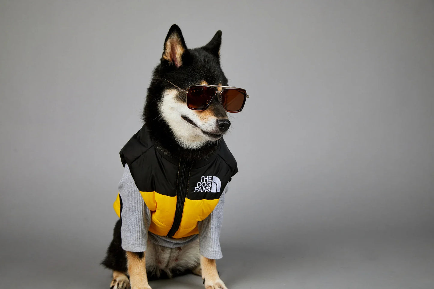 Zhejiang Dog Face Toys And Accessories Trendy Pet Gifts