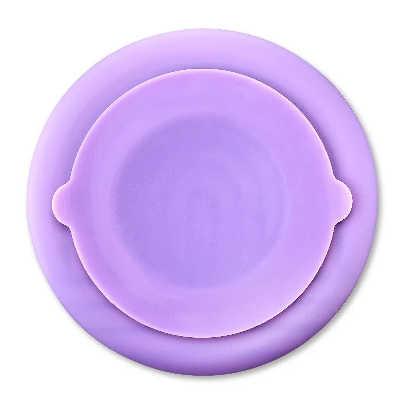 Silicone Slow Feeder Bowl for Pets