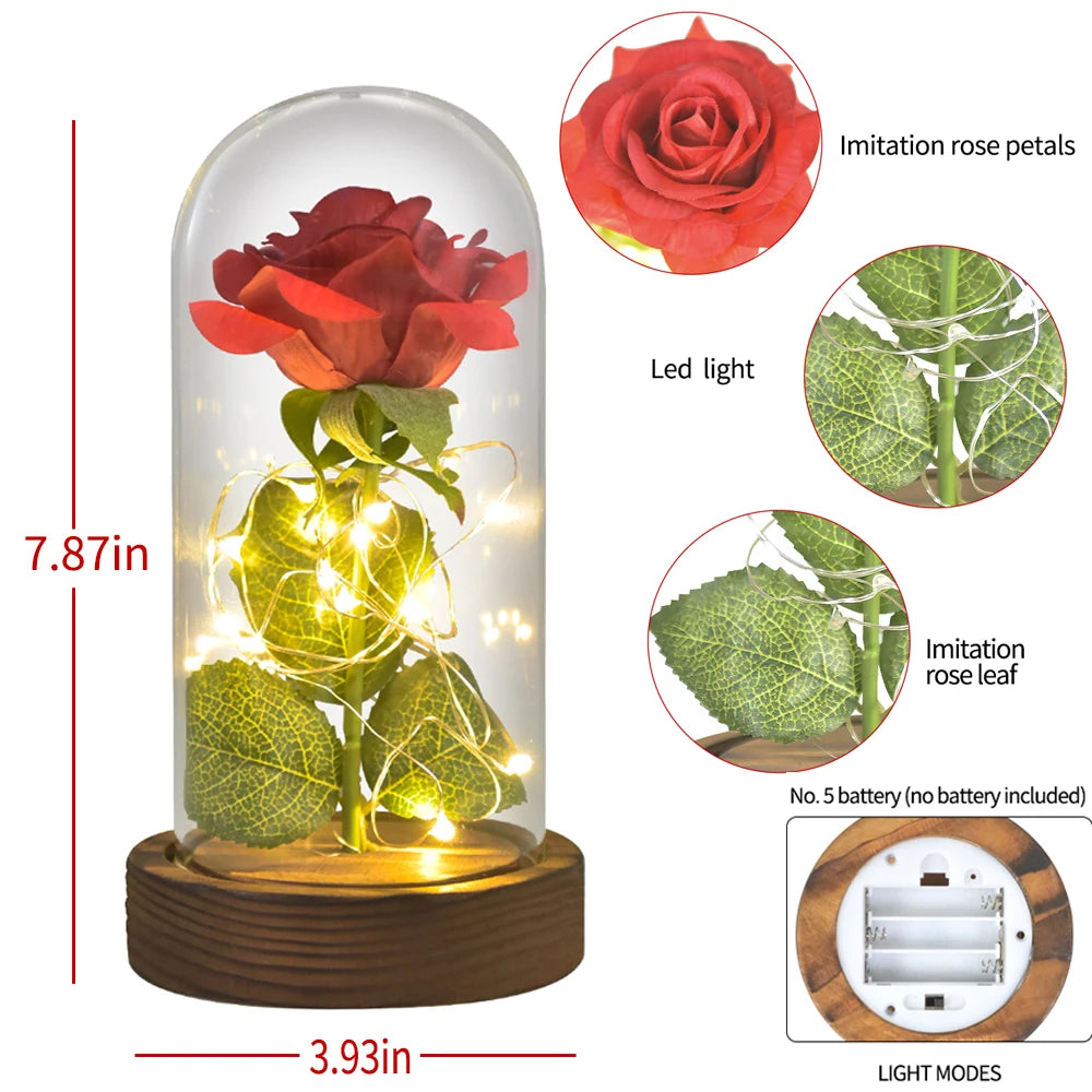 Ainyrose Beauty And The Beast Eternal Rose Glass Dome Decor