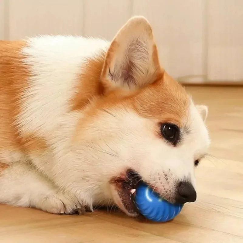 Automatic Bouncing Rolling Ball Dog Toy USB Interactive Puppy Toy