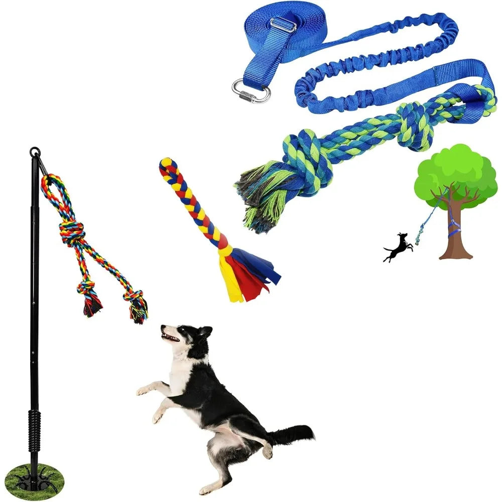 Hign-Concerned Tether Tug Outdoor Dog Toy For Active Play