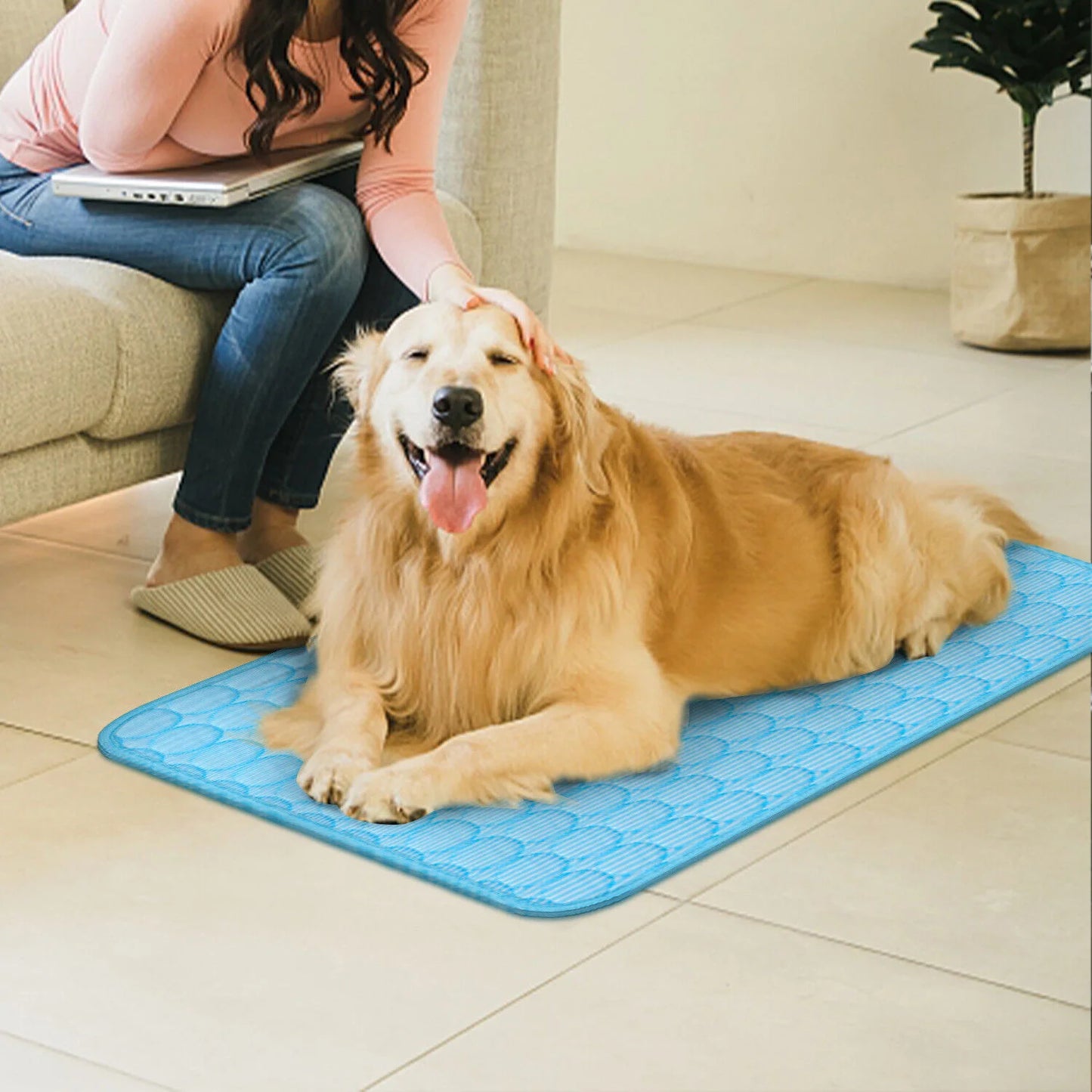 Zhejiang Pet Cooling Mat for Dogs Cats Summer Sleep
