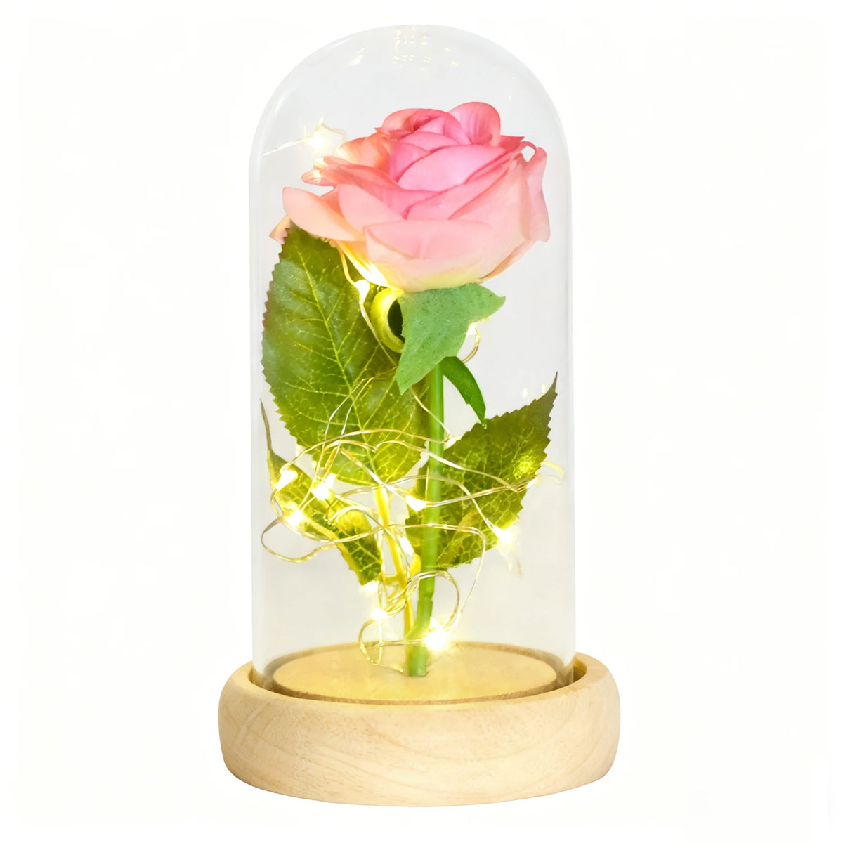Ainyrose Beauty And The Beast Eternal Rose Glass Dome Decor