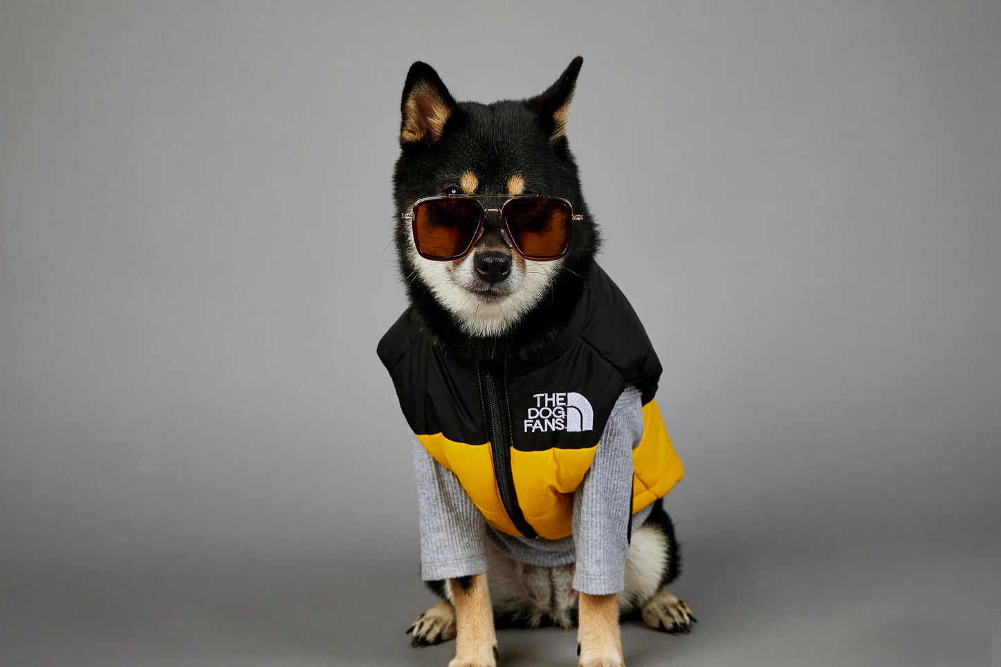 Zhejiang Dog Face Toys And Accessories Trendy Pet Gifts