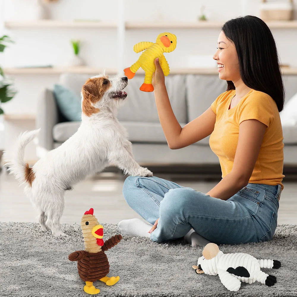 Assorted Plush Squeaky Dog Toys
